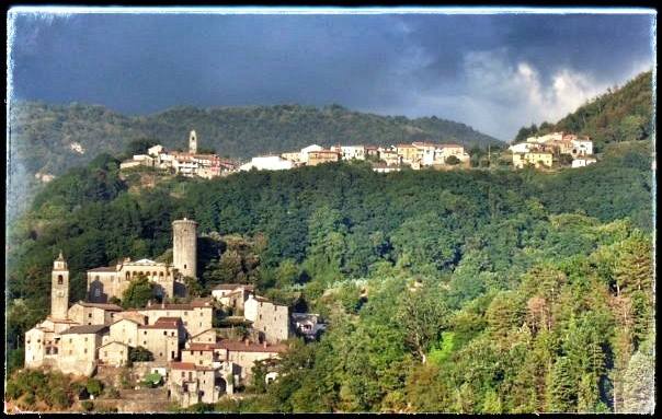 1078279_517793391626408_487736189_n